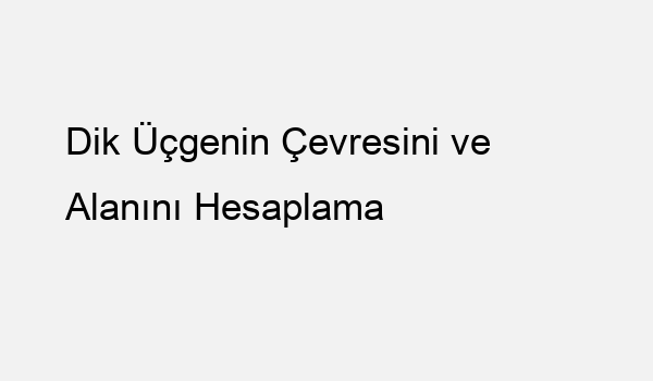 Dik Üçgenin Çevresini ve Alanını Hesaplama